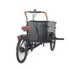 New 250W 25km/H Entry-Level Heavy-Duty Reliable Durable Steel Frame Cargo Bike Starter