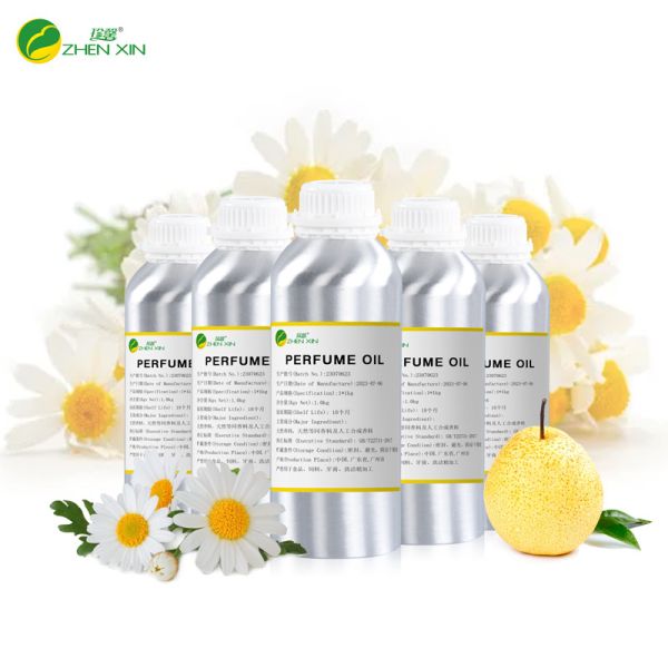 Long Lasting Designer Perfume Oil Fragrance Original Brand Cologne Perfume For Man