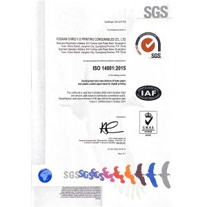 Foshan Chris V.G Printing Consumables Co., Ltd. Certificaciones