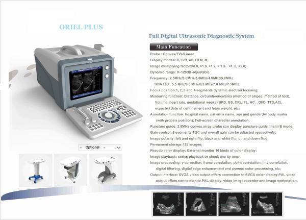 Animal Cattle Veterinary Ultrasound Machines 6.5MHz R13 Cavity Probe