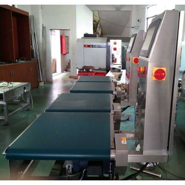 Flexible Stainless Steel Industrial Conveyor Checkweigher Digital Packaging Line Weight Inspection System JZ-W3kg