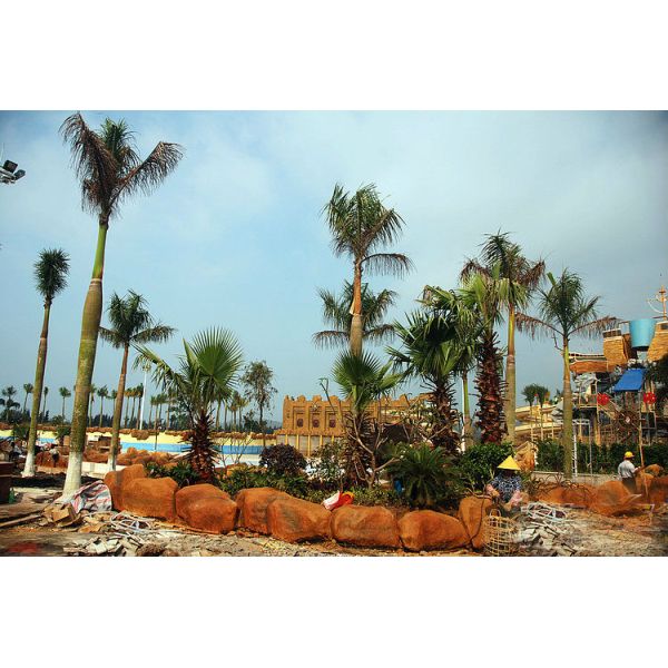 Customize Adult / Kids Waterpark Project , Theme Water Amusement Design / Customized Water Slide