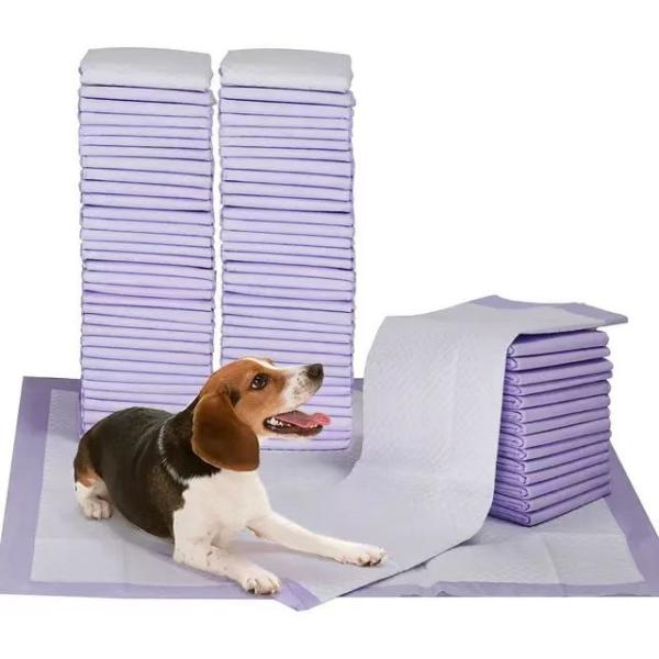 Customized Sizes Free Sample Disposable Pet Training Pads for Puppy Potty Training