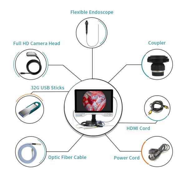 1080P Full HD Endoscope System Rigid and Flexible 24 Inches All in One Video Recorder Camera