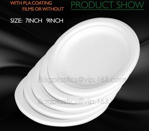 School lunch box, Fresh Preserved Compartment PLA Lunch Box, Disposable clear PLA square lunch box microwave safe