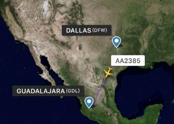 Worldwide Air Cargo Delivery Company Rapid Reply Freight Forwarding Logistics