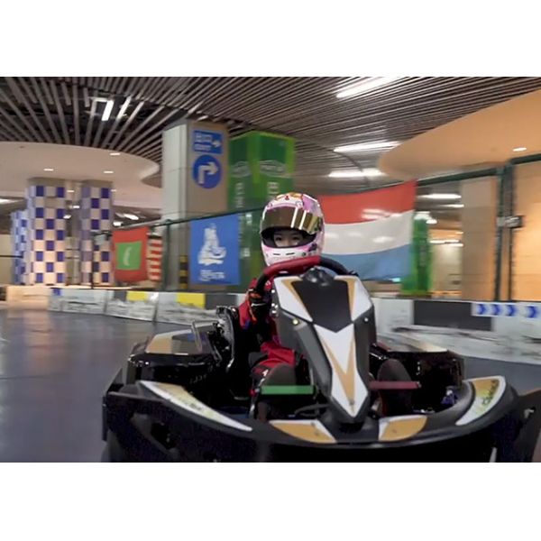 Одиночный взрослый мотора 2850RPM идет Karting 70km/H Pro электрические идут Kart