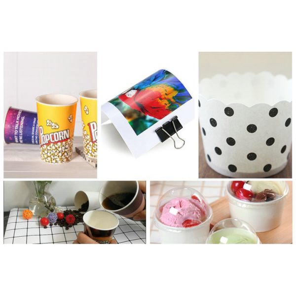 Food Grade PE Coated Folding Board In Roll For Making Paper Cup