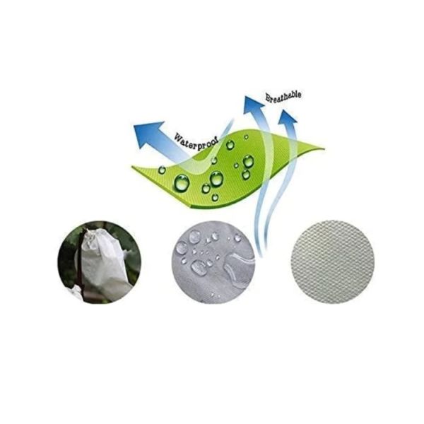 Защитные пакеты для яблок, защитные пакеты для фруктовых деревьев.