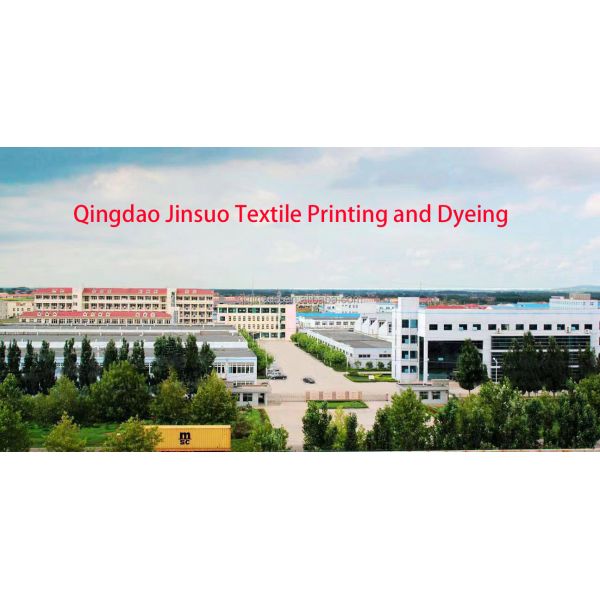 Soft and Comfortable Printed Flannel Fabric for Home Textile 100% Polyester Material