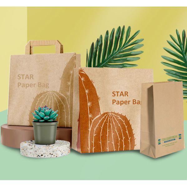 Custom Printed Biodegradable Kraft Paper Bags With Handle for Coffee Bake Shopping