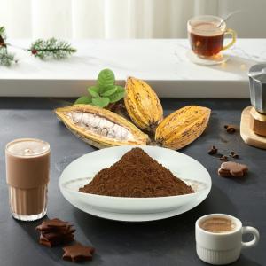 Poudre de cacao alcalisée du Ghana à teneur réduite en matières grasses en gros,