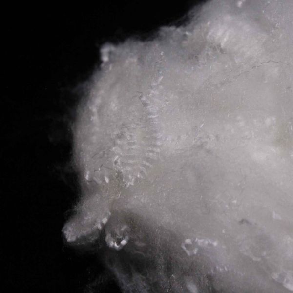Virgin Polyester Fiber 2.5D*38mm High Wear Resistance Anti-Wrinkle Polyester Staple Fiber for Clothing and Home Textiles