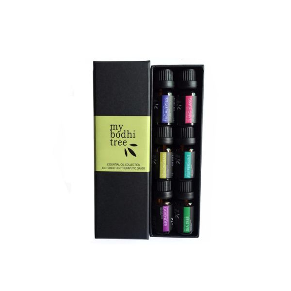 Portable Leather Cosmetic Gift Boxes , Cardboard Cosmetic Containers Personal Care