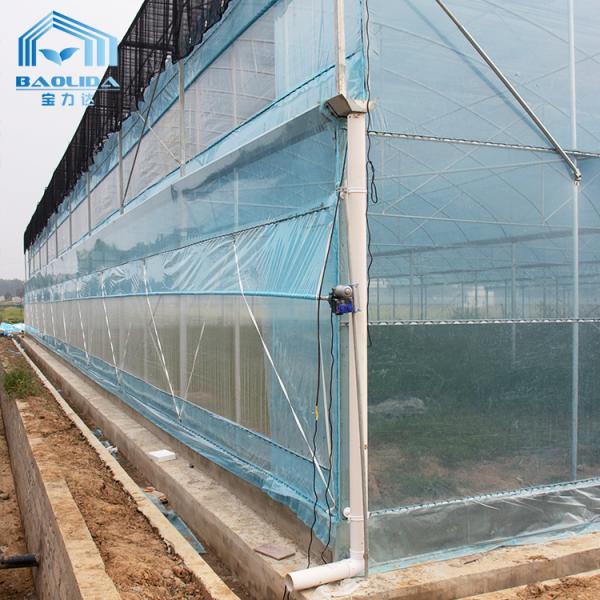 Multi-Span Agricultural Greenhouse Kit 6m-12m with 10-Year Warranty