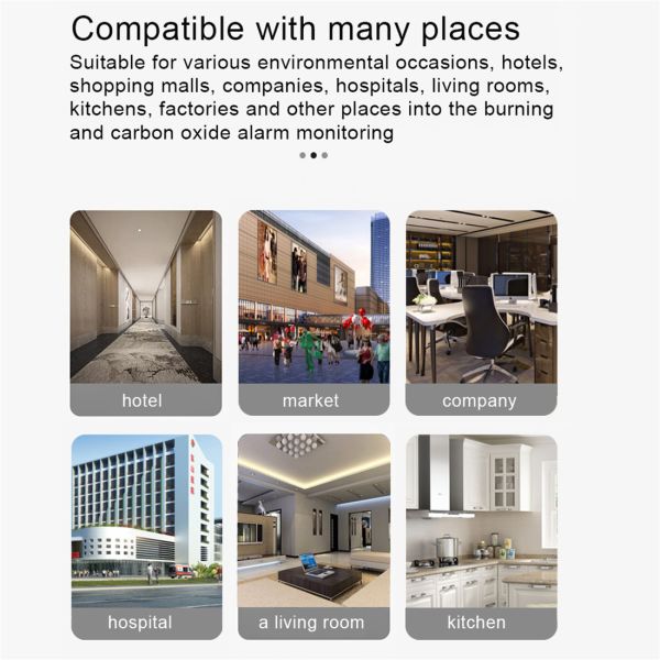 WI-FI Natural Gas and Carbon Monoxide Detector CO with TUYA APP(SNT961W)