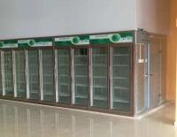 Congelador de refrigerador trasero de la exhibición de la carga de la refrigeración con el grueso de cristal 75m m del panel de las puertas