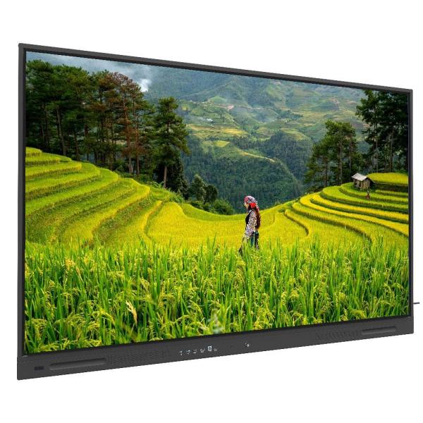 Écrans tactiles à écran plat interactif de 75 pouces (niveau d'entrée)
