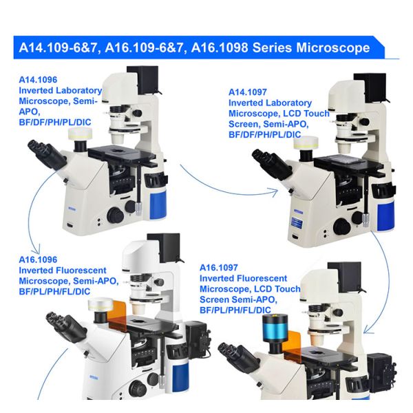 OPTO-EDU A16.1098 lleno motorizó el FB/el pH/el PL/FL/DIC optos de Edu Microscope Semi APO