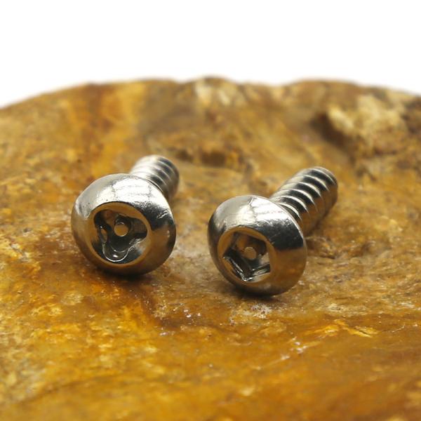 Industrial Custom Anti Theft Screw Stainless Steel Safety Fasteners