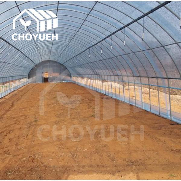 Single Span Tunnel Greenhouse Thickness 12/15/18/20 Microns