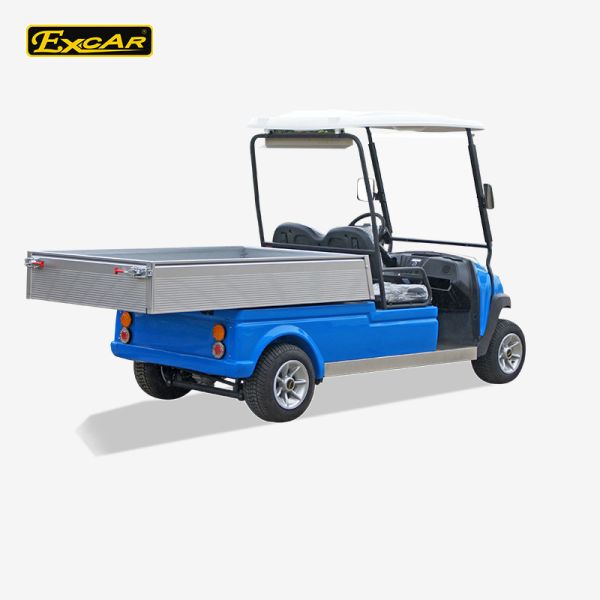 Electric Golf Carts Featuring 48V400A AC Controller Compact Body Size and 2 Passenger Loading Design