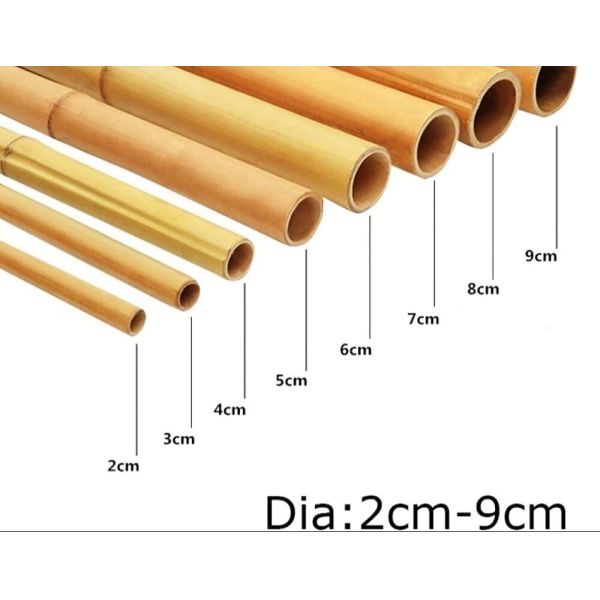 Wholesale Price Natural Moss Plant Pole Moss Stick For Climbing Plants Moss Poles Support