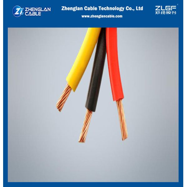 錫メッキされた銅の適用範囲が広い電気ワイヤー2 3 4 5 6中心1.5mm 4mm 6mm 10mm 16mm 50mm 70mm