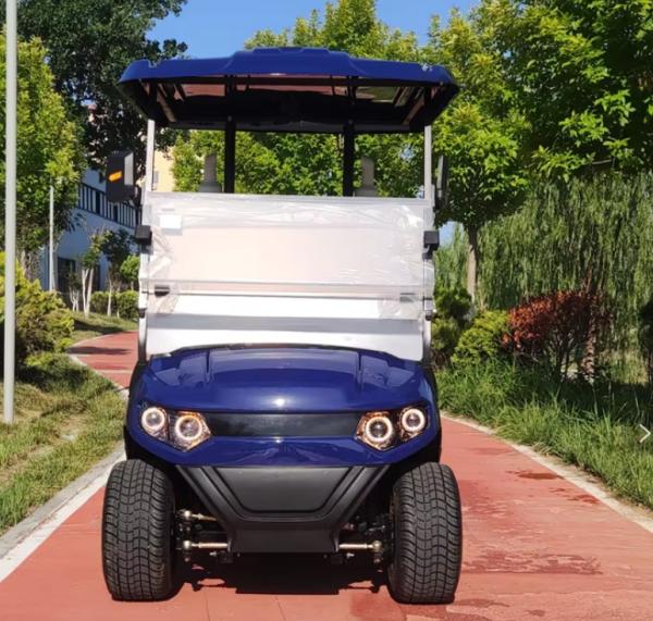 New Energy Blue Golf Cart 2 Person 48 Volt Electric Club Car Manufacturer