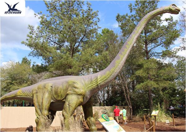 18 Meters Giant Realistic Dinosaur Models , Life Size Farm Animal Models 
