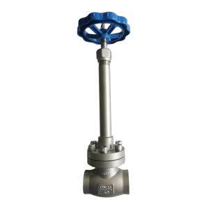 Cryogenic Globe Valve