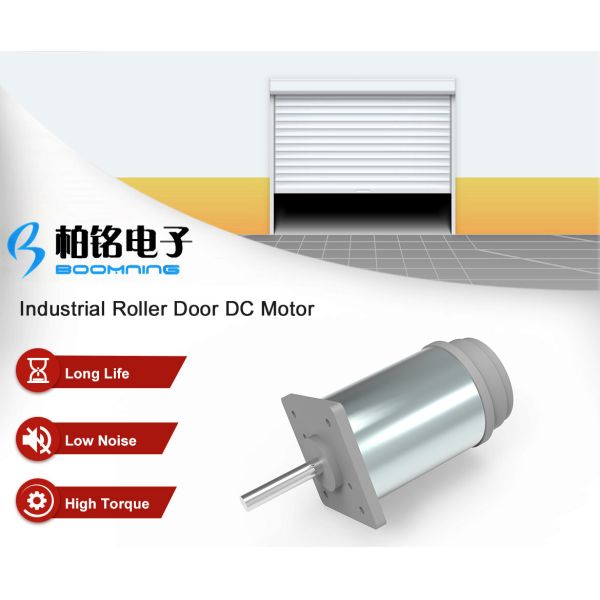 Electric Door Motor