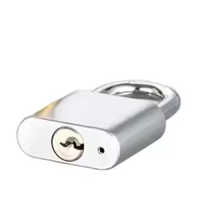 Rarlux Trendy Style Solid Padlock Anti-theft Hardened Steel Shackle Sprung Brass Padlock