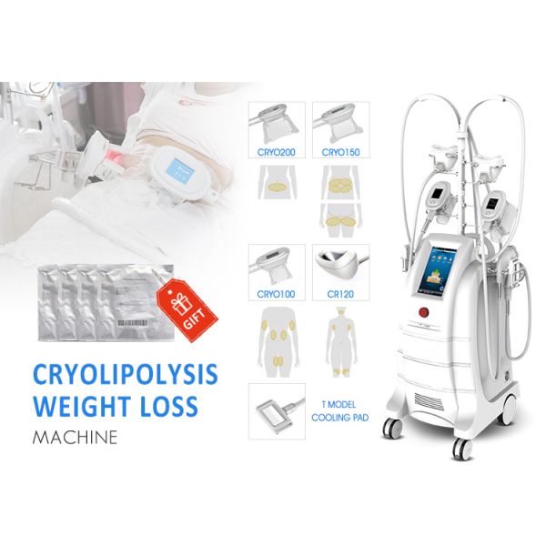 7 Handles Weight Lost Cryoliplysis Machine For Body And Chin Treatment