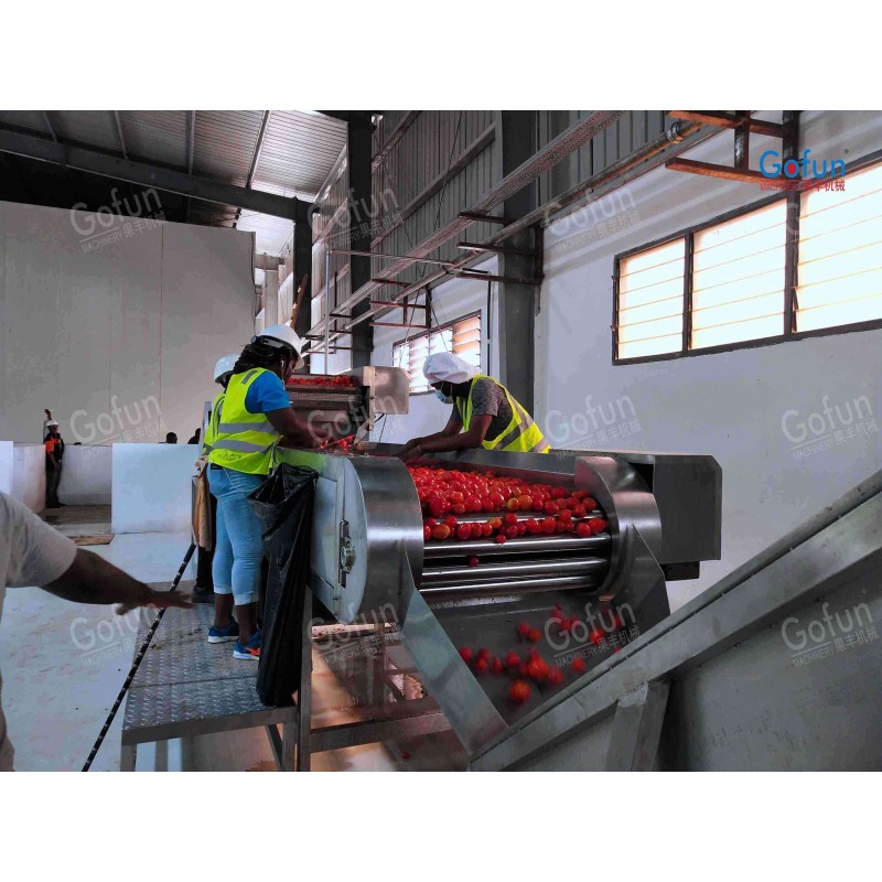 Commercial Tomato Sauce Processing Line for Multi Packaging