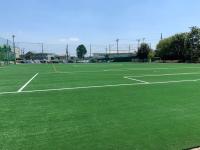 Field Artificial Soccer Turf Football Grass Carpet For Sale 50-60mm