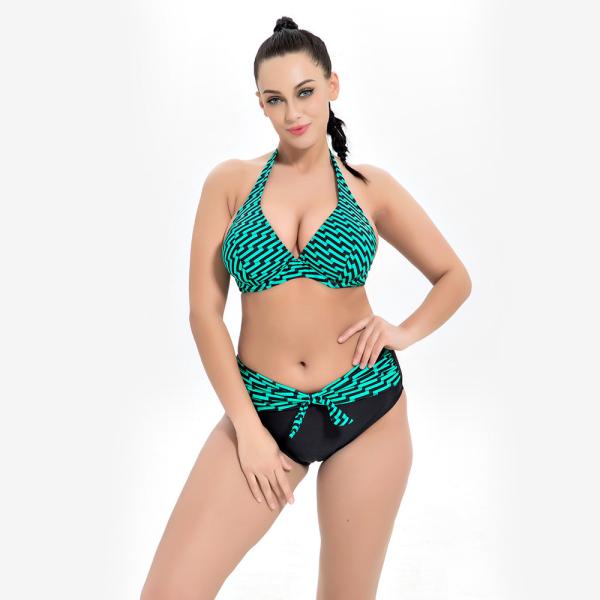 2019 New Plus Size Two piece Swimsuit Strip Print Swimsuit Women Push up 1957