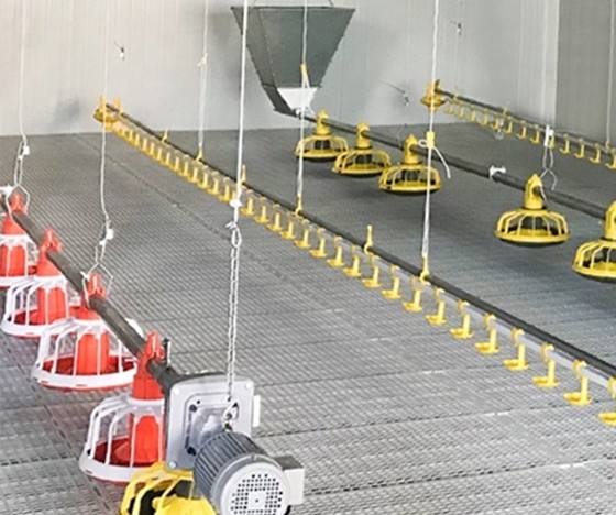 оборудование сельского хозяйства птицы 400kg/H для продуктов бройлеров