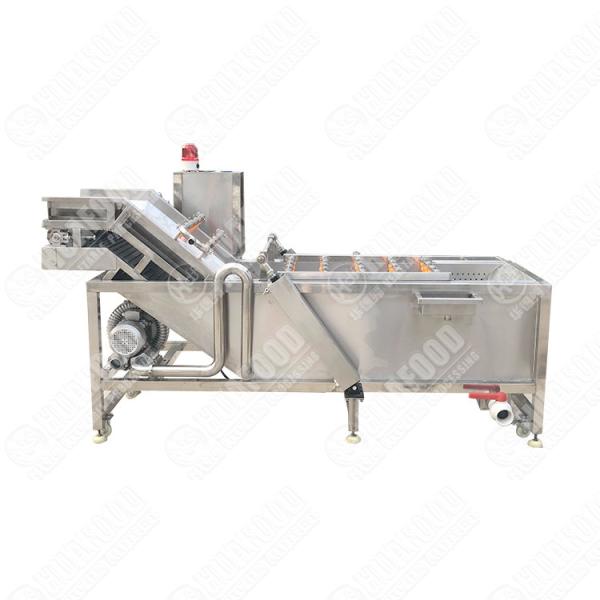 304 Stainless Steel Double Tank Bubble Ozone Vegetable Mesh Chain Washing Machine Small Fruit Washing Machine