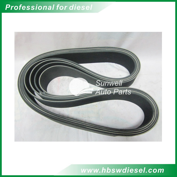 KTA38 engine Belt, V Ribbed 3003341