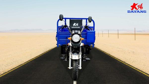 Maximum Speed of ≥70Km/h Gas Powered Cargo Tricycle with Front Disc Rear Drum Brake
