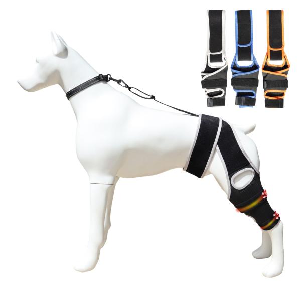 Dog Knee Brace