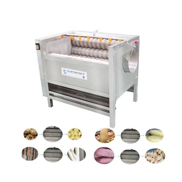 Automatic fish wash machine fish washing machine fish  cleaning machine