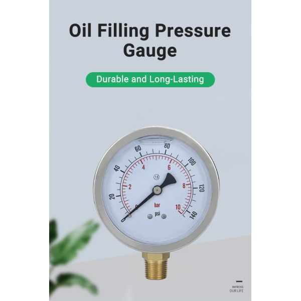 100mm NPT1/2 Brass Connection Pressure Gauge with Stainless Steel Housing OEM Support