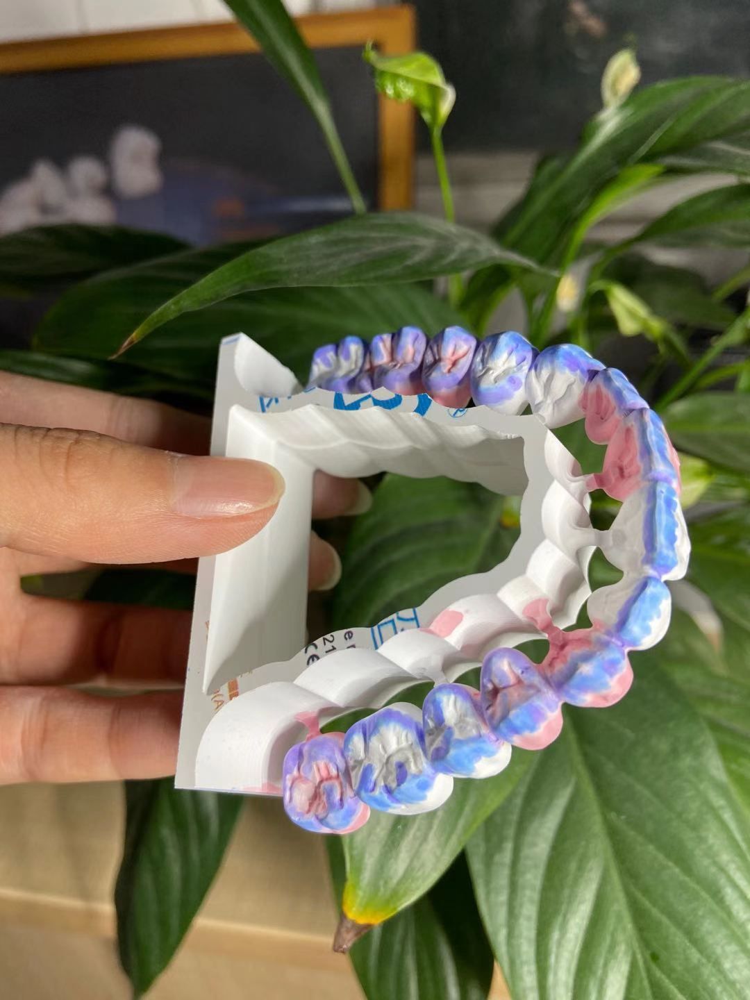 16 крася крася жидкостных зубоврачебных блоков Zirconia для зуба кулачка Cad