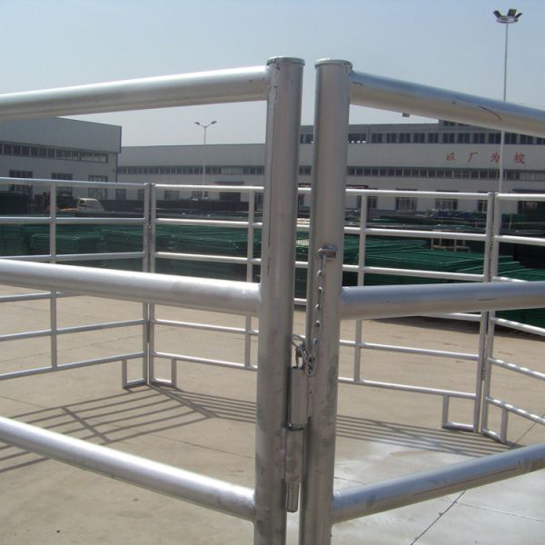 Length 2.1m Height 1.8m Galvanized Livestock Panels For Horse Fence 6 Rails