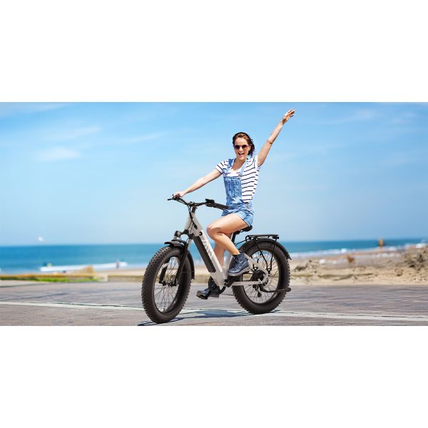 F612 F622 Fat Tire Ebike 750W Motor 7 Speed Hydraulic Disc Brake Fat Bike for Snow Beach City Mountain Bike