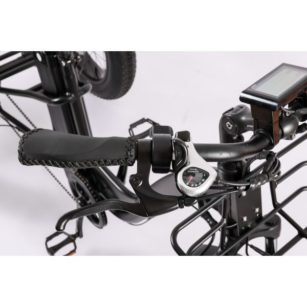 High Capacity Family Cargo Bike with Torque 80-90 Nm and Rear Carrier Battery Position