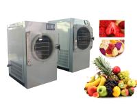 240V de pouco peso Mini Freeze Dryer Machine TFD0.4 para vegetais de frutos