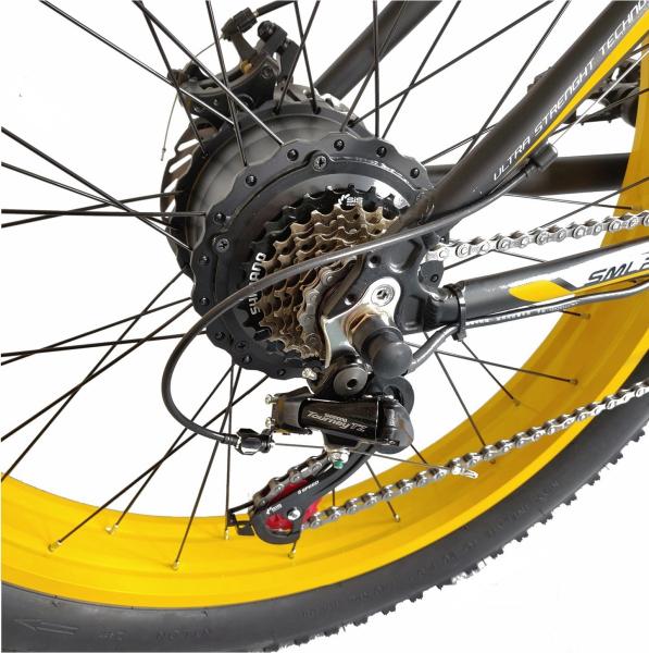 Xdc600 26 Inch Fat Tire Electric Bike SHIMANO TZ50 Reared 26KG
